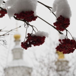На снежные равнины пал туман | Московский Данилов монастырь