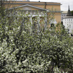 Весна в обители князя Даниила | Московский Данилов монастырь
