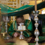 В Даниловой обители встретили праздник Входа Господня в Иерусалим | Московский Данилов монастырь